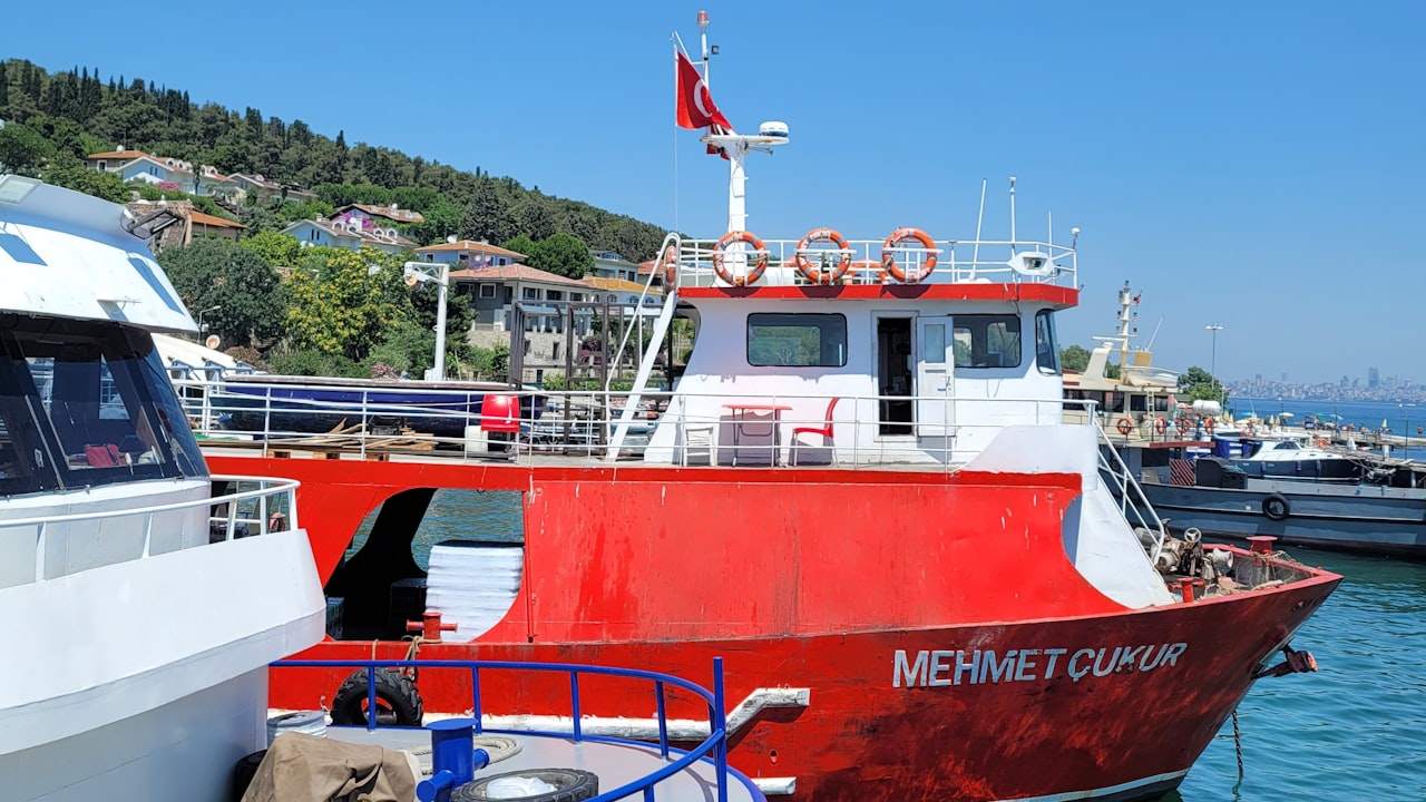 Beach flags et oriflammes publicitaires devant un commerce en exterieur