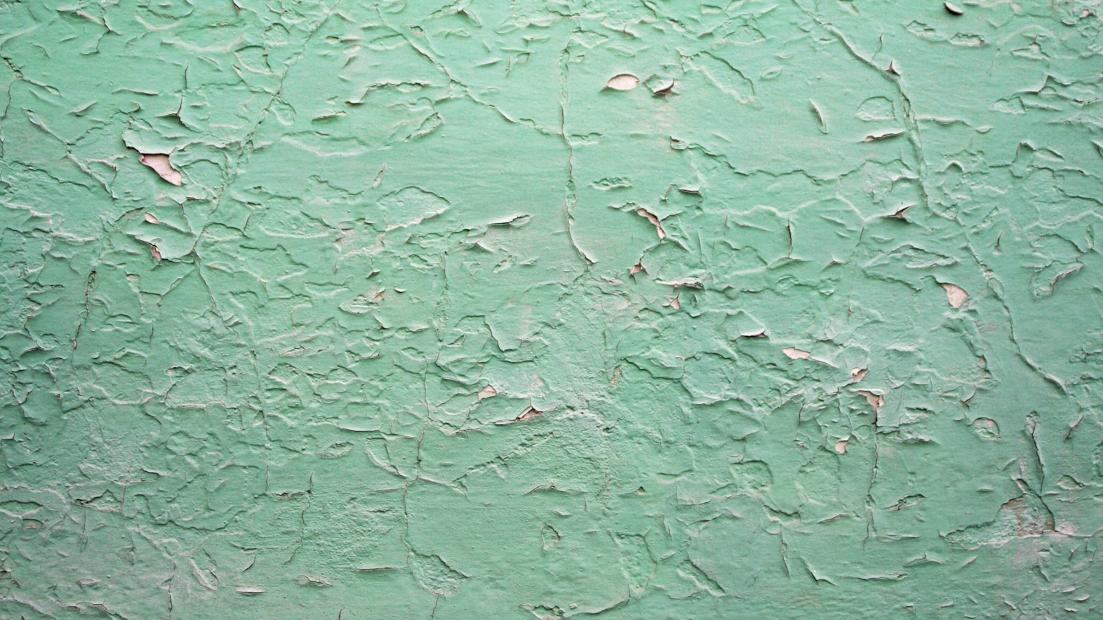 Poseur appliquant un adhésif mural à la raclette sur un mur peint