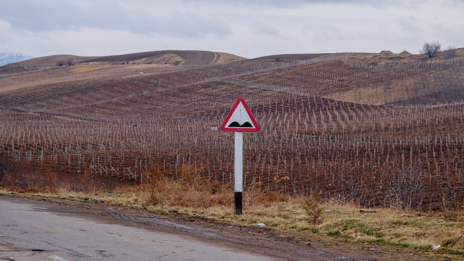 Zone de traitement phytosanitaire : ce qu&rsquo;un exploitant doit afficher, et sur quel support