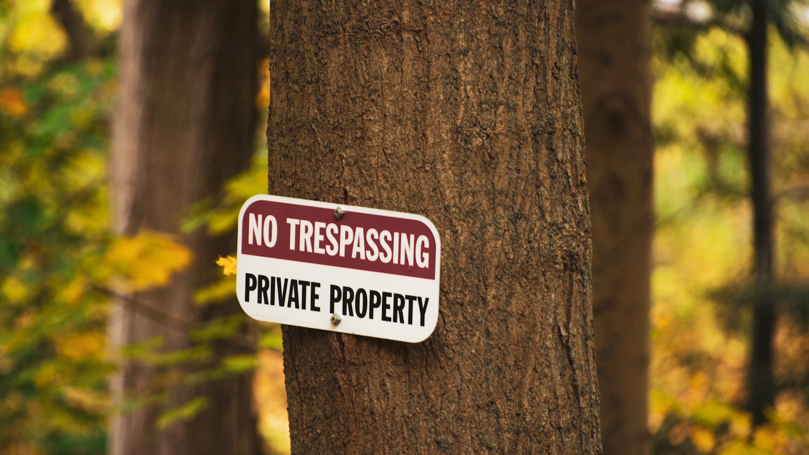 Panneaux de propriété privée, de chasse et d&rsquo;interdiction de passage : ce que l&rsquo;affichage change vraiment